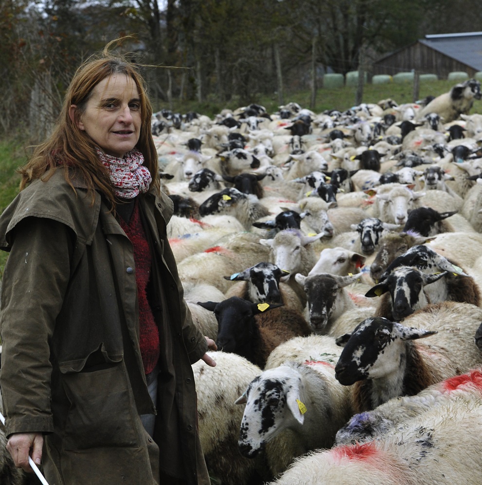 Michèle Boudoin éleveuse ovin