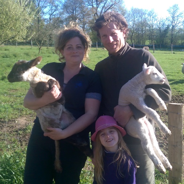 Eleveuse ovin brebis