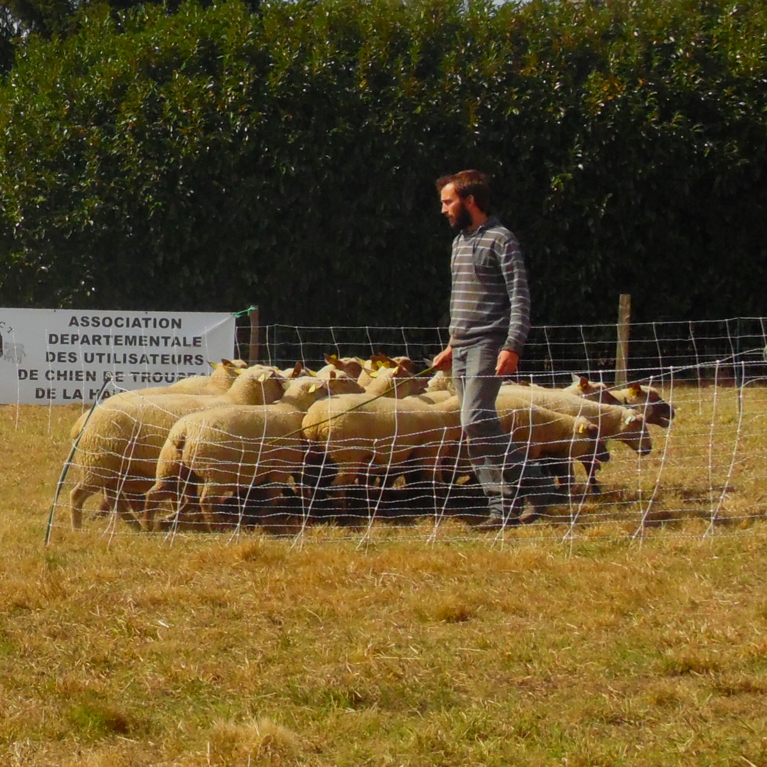Gaël, éleveur de moutons installé sur l'exploitation céréalière familiale, témoignage