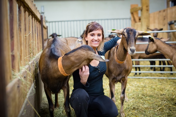 Angélique éleveuse de chèvres et productrice de fromages